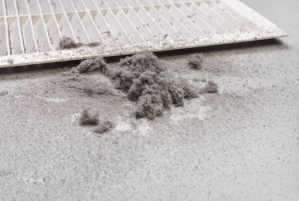 Best Air Vent Cleaning Services  in Whitesboro, AL