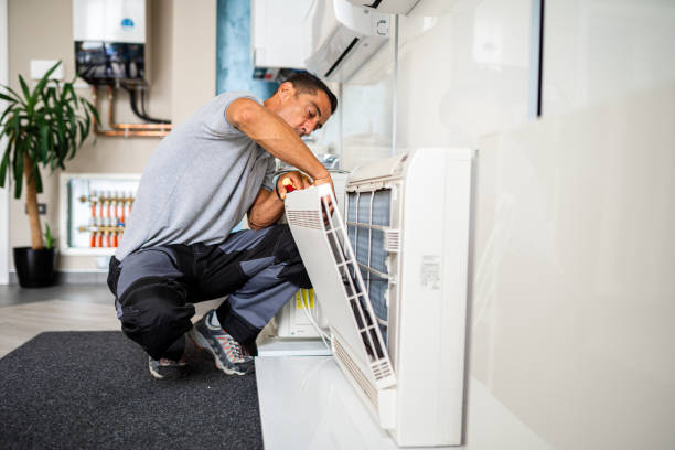 Best Professional Duct Cleaning Services  in Whitesboro, AL