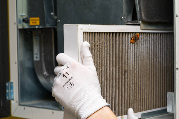 Best Affordable Air Duct Cleaning  in Whitesboro, AL