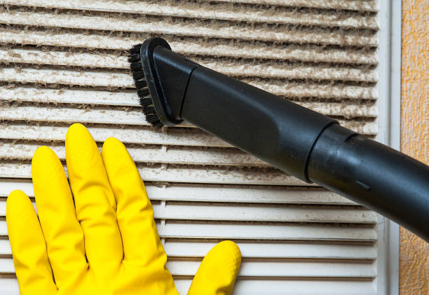 Best Air Duct Cleaning Near Me  in Whitesboro, AL